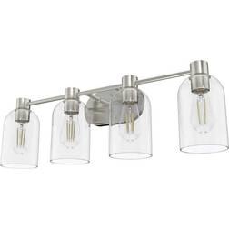 Hunter Fans Lochemeade Vanity Wall Flush Light