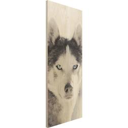 Klebefieber Holzbild Husky Portrait