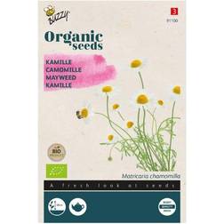 Buzzy Organic kamille økologiske frø