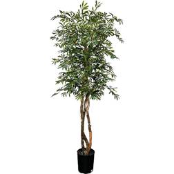 Hand-Made 6.5' Deluxe Artificial Olive Artificial Plant, Cypress