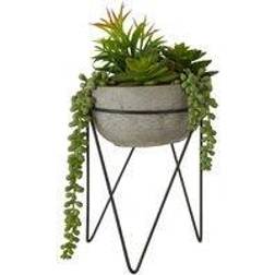 Premier Interiors Mixed Succulent Grey Cement Pot with a Metal Stand