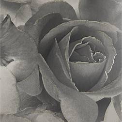 Muriva Black Grey Rose Floral Bloom Flowers Silver Glitter Shimmer Feature Wallpaper