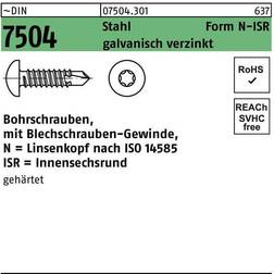 Sonstige DIN 7504 m.Innensechsrund N galvanisch verzinkt galvanisch