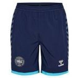 Hummel Denmark Training shorts Pro Children