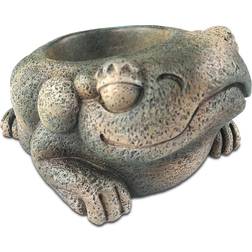 Exo Terra aztec frog water dish reptile