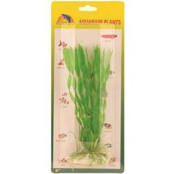 Meadow Vallisneria spiralis plastic