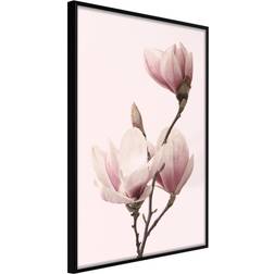 Artgeist Blooming Magnolias III Poster