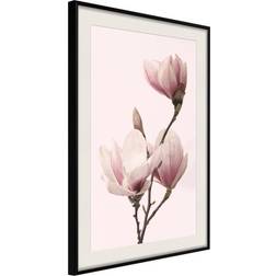 Artgeist ramme Blooming Magnolias III Plakat