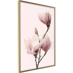 Artgeist ramme Blooming Magnolias III Plakat