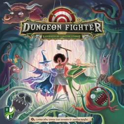 Dungeon Fighter in the Labyrinth of Sinister Storms