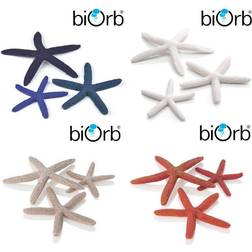 Biorb Seesterne Set 3 Natural