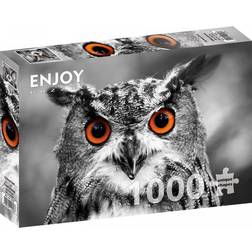 Enjoy Curious Owl 1000 Pieces