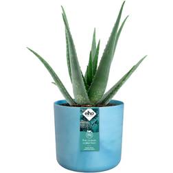 Elho Atlantic Blue Round Planter 16 cm ∅16cm