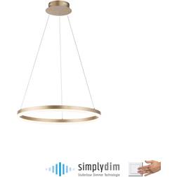 Paul Neuhaus LED-hänglampa Titus Ø 60 cm Mässing Dimbar Pendellampa