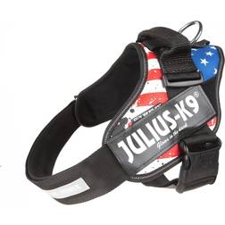 Julius-K9 IDC Powerharness Size L 1 USA Flag