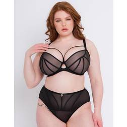 Scantilly Senses Plunge Bra Black