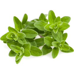 Click and Grow & Smart Garden refill Marjoram