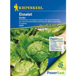 Kiepenkerl Eissalat Danilo F1 PowerSaat