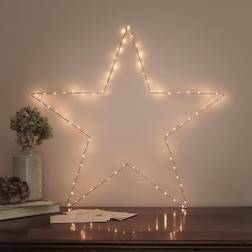 Large Rose Osby Star Silhouette String Light