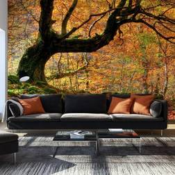 Artgeist Fototapet Autumn, forest and leaves 450 x 270 cm