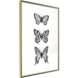 Artgeist Butterfly Collection III Plakat