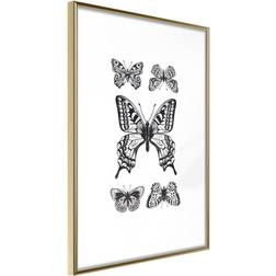 Artgeist Butterfly Collection IV Plakat