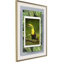 Artgeist Inramad Tavla Toucan in the Frame 40x60 Guldram Poster