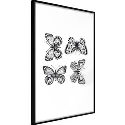 Artgeist Butterfly Collection III Plakat