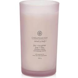 Chesapeake Bay Candle 355 g Scented Candle 104g