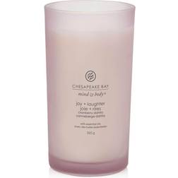 Chesapeake Bay Candle 355 g Scented Candle