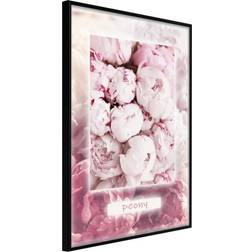 Artgeist Inramad Tavla Scent of Peonies - 40x60 Poster