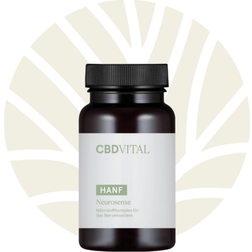 CBD Vital Hanf Neurosense