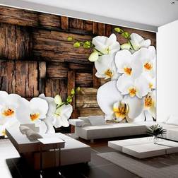 Artgeist Fototapet Blooming orchids 250 x 175 cm