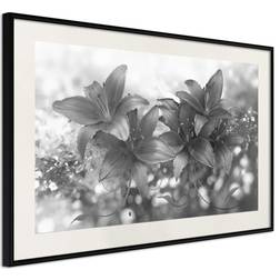 Artgeist Inramad Tavla Dark Lillies Poster