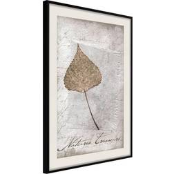 Artgeist Inramad Tavla Dried Leaf 30x45 Poster