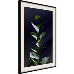 Artgeist Inramad Tavla Floral Elegance 40x60 Poster