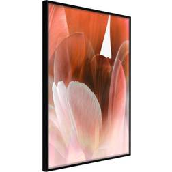 Artgeist Inramad Tavla Tulip Petals Poster