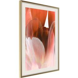 Artgeist Inramad Tulip Petals 20x30 Poster