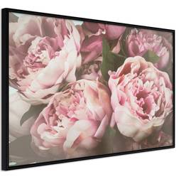 Artgeist Pastel Peonies Plakat