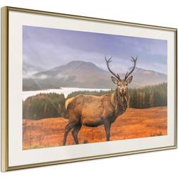 Artgeist Inramad Tavla Majestic Deer Guldram Poster