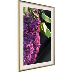 Artgeist Inramad Tavla Violet May Poster