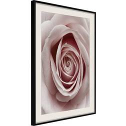 Artgeist Inramad Tavla Rosebud 30x45 Poster