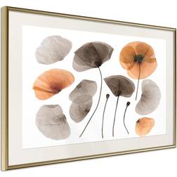 Artgeist Inramad Tavla Dried Poppies Poster