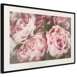 Artgeist Inramad Tavla Peonies 30x20 Poster