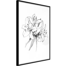 Artgeist Inramad Tavla Sketch of Lillies Poster