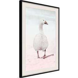 Artgeist Inramad Tavla Walking Goose Poster