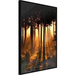 Artgeist Inramad Tavla Dark Tree Tops Poster