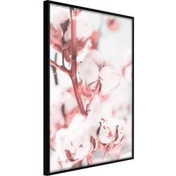 Artgeist Cotton Flowers Plakat