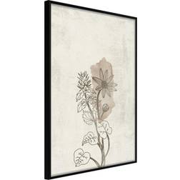 Artgeist Inramad Tavla Life of Plants 30x45 Poster