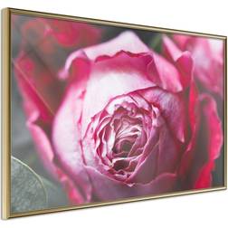 Artgeist Inramad Tavla Blooming Guldram Poster